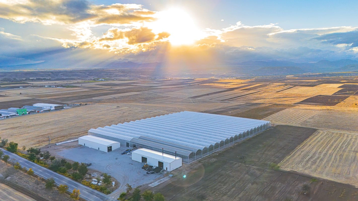 Konya Meram’da 25 dönüm modern topraksız domates serası