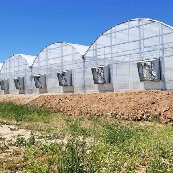 5.840 m² modern fide serası