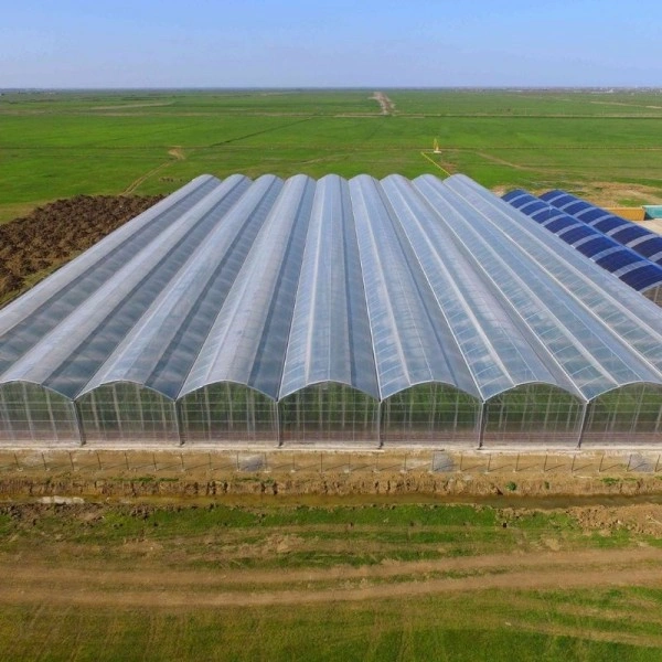 3.160 m² topraklı sebze serası