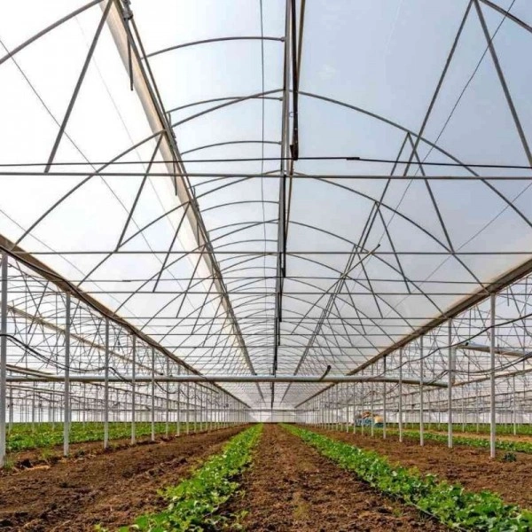 Karataş’ta 9.800 m² topraklı sebze serası
