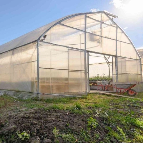 1.500 m² belediye Ar-Ge serası
