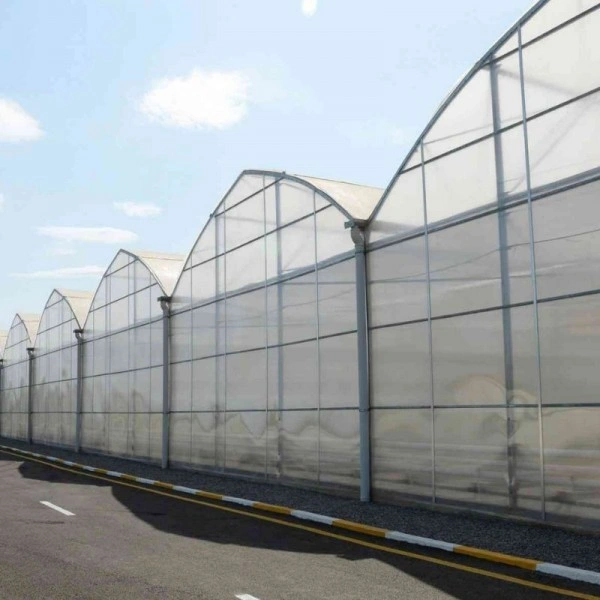 3.000 m² üniversite Ar-Ge serası