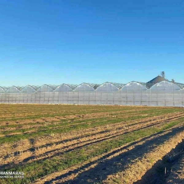Pazarcık’ta 12.672 m² topraksız domates serası