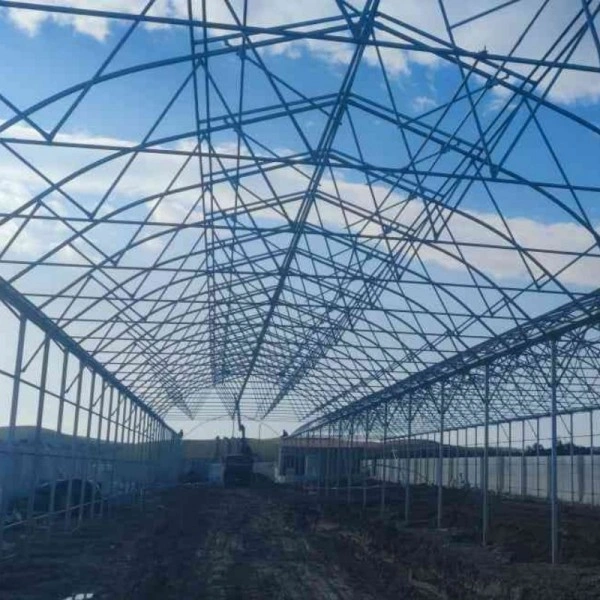 2.000 m² insani yardım sebze serası