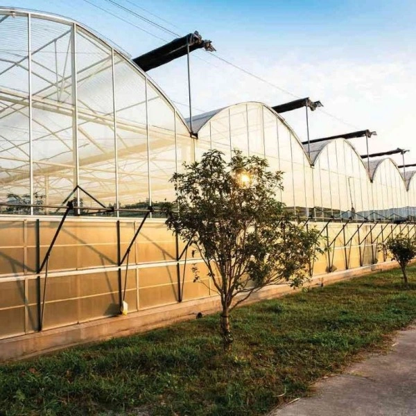 3.000 m² topraksız Ar-Ge / domates serası