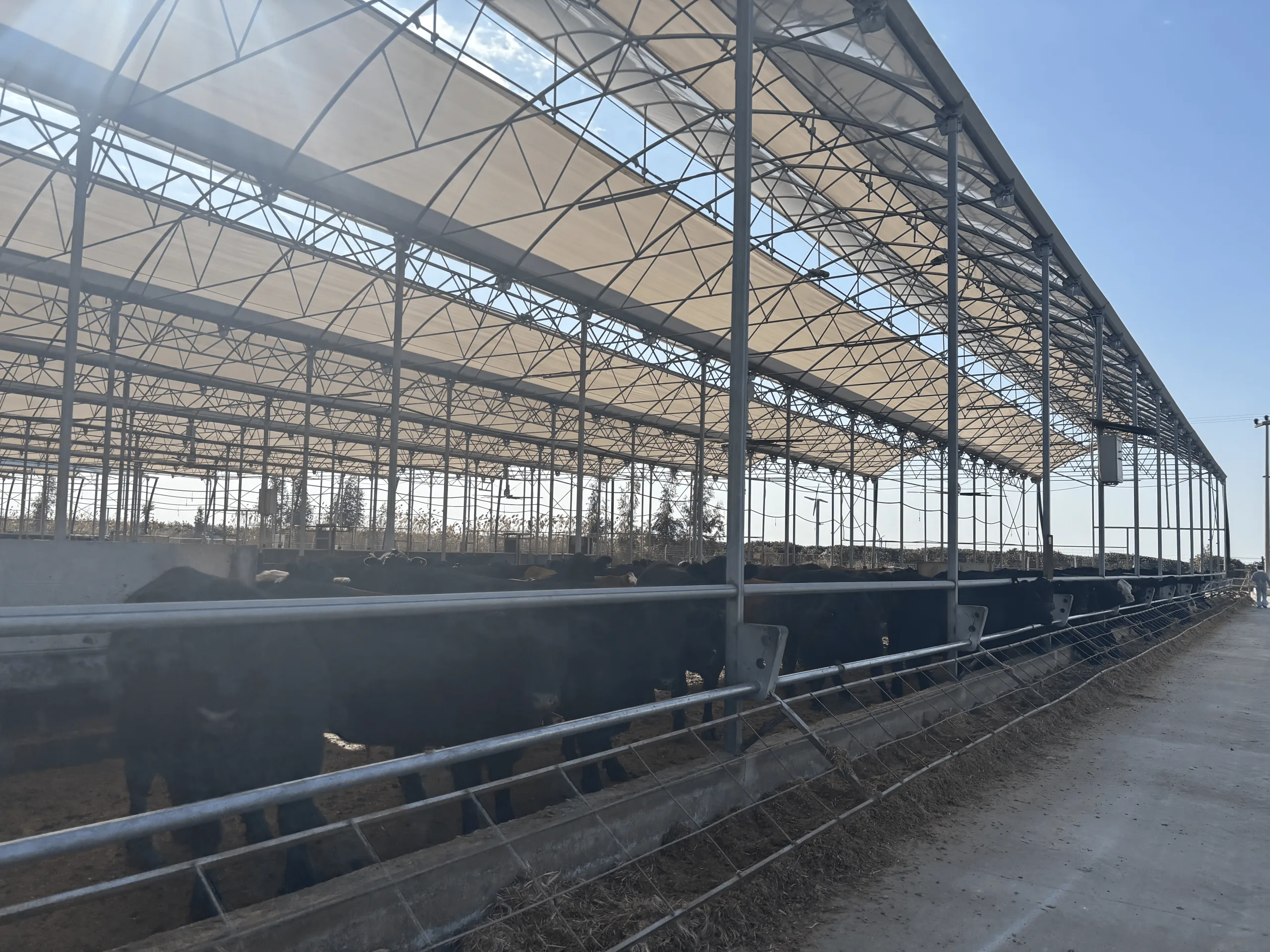 Mila Entegre engineering-led structural solutions